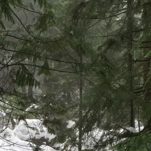 Meet your Posher, Jody